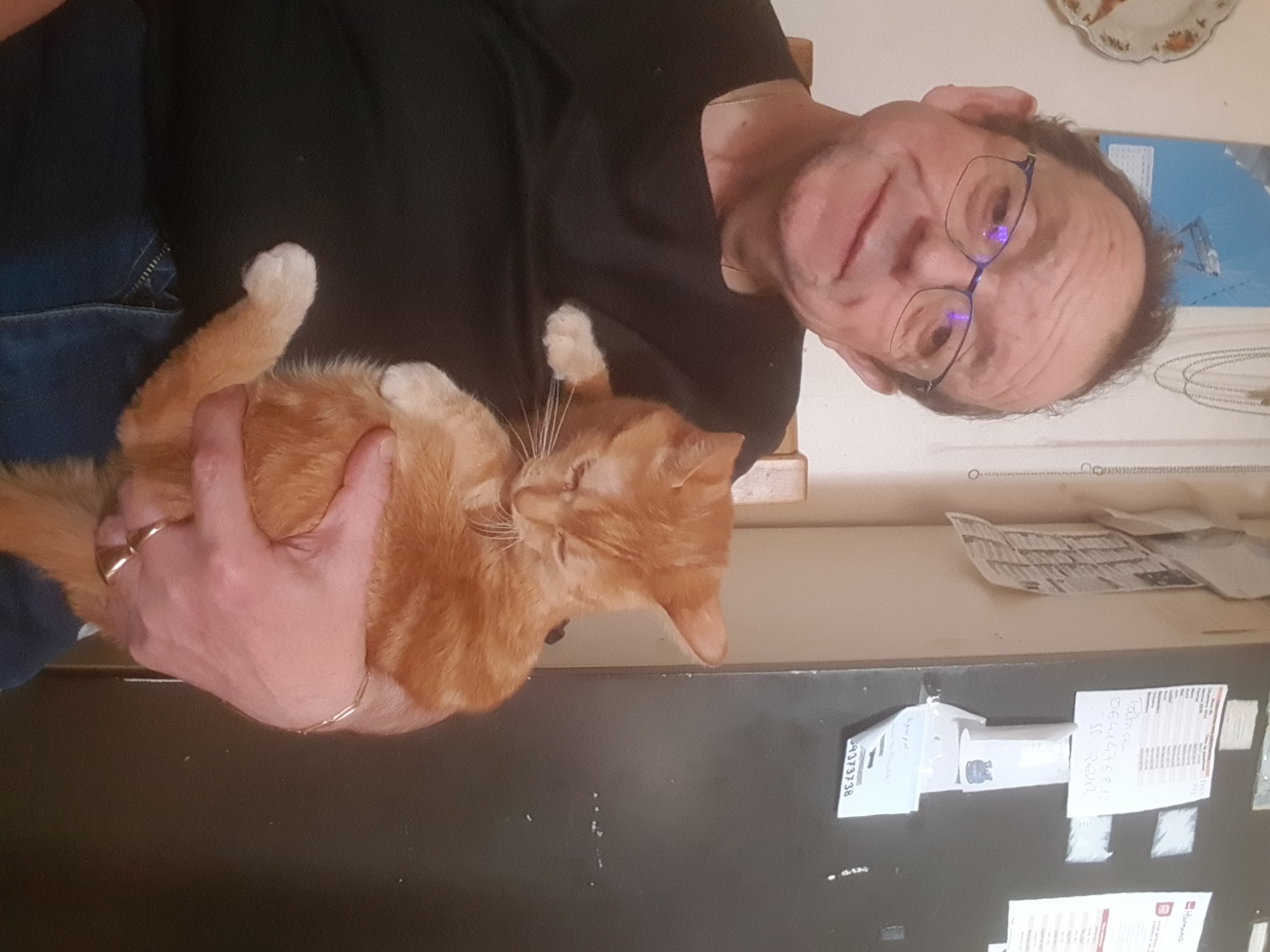 miguel romanos Mécanicien  miguel romanos photo Dépanneur-Remorqueur